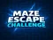 Spel Maze Escape Challenge aanlyn