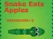 Spel Slang eet appels aanlyn
