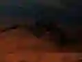 Spel Alien Insek Shooter aanlyn Spel Alien Insek Shooter aanlyn