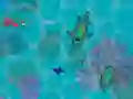 Spel Sharkz.io aanlyn
