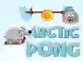 Spel Arktiese Pong aanlyn Spel Arktiese Pong aanlyn
