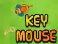 Spel Sleutel Muis aanlyn Spel Sleutel Muis aanlyn