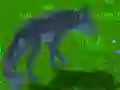 Spel Wolf Simulator aanlyn