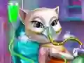Spel Katte Missie: Ongeluk ER aanlyn Spel Katte Missie: Ongeluk ER aanlyn