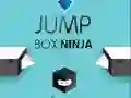 Spel Springdoos Ninja aanlyn Spel Springdoos Ninja aanlyn