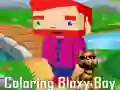 Spel Kleur die Bloxy Seun aanlyn