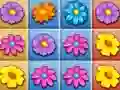 Spel Blossom Tuin Afgeknips aanlyn Spel Blossom Tuin Afgeknips aanlyn