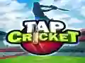 Spel Tik Krieket aanlyn