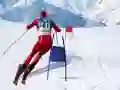 Spel Slalom Ski Simulator aanlyn Spel Slalom Ski Simulator aanlyn