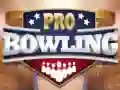 Spel Pro Bowling aanlyn Spel Pro Bowling aanlyn