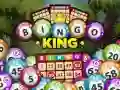 Spel Bingo koning aanlyn Spel Bingo koning aanlyn
