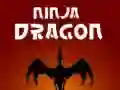 Spel Ninja Draak aanlyn Spel Ninja Draak aanlyn