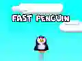 Spel Vinige Pinguïn aanlyn Spel Vinige Pinguïn aanlyn