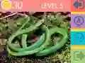 Spel 15 Beeld Quiz aanlyn Spel 15 Beeld Quiz aanlyn