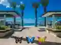 Spel Vind 100 skoenlapper aanlyn Spel Vind 100 skoenlapper aanlyn