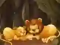 Spel Pretige Dieretuin Legkaarte aanlyn Spel Pretige Dieretuin Legkaarte aanlyn