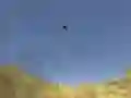 Spel Tukan Skutter aanlyn Spel Tukan Skutter aanlyn
