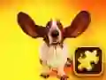 Spel Grappige Honde-puzzel aanlyn Spel Grappige Honde-puzzel aanlyn