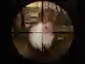 Spel Klassieke Jakkals Sniper Jag 2019 aanlyn Spel Klassieke Jakkals Sniper Jag 2019 aanlyn