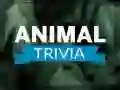 Spel Dier Trivia aanlyn Spel Dier Trivia aanlyn