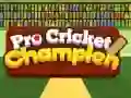 Spel Pro Krieket Kampioen aanlyn
