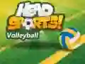Spel Head Sports Volleybal aanlyn