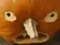 Spel 5 in 1 Prentlegkaart: Halloween aanlyn Spel 5 in 1 Prentlegkaart: Halloween aanlyn