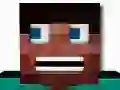 Spel Blok Handwerk Survivale aanlyn
