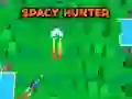 Spel Ruimtejagter aanlyn