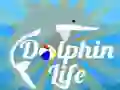 Spel Dolfyn Lewe aanlyn Spel Dolfyn Lewe aanlyn