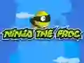 Spel Ninja die Raan aanlyn