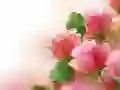 Spel Pienkrose aanlyn Spel Pienkrose aanlyn