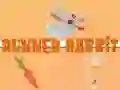 Spel Hardloper Hasie aanlyn Spel Hardloper Hasie aanlyn
