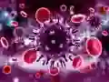 Spel Koronavirus Legkaart aanlyn Spel Koronavirus Legkaart aanlyn