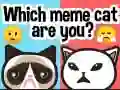 Spel Watter meme-kat is jy? aanlyn Spel Watter meme-kat is jy? aanlyn