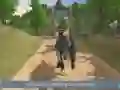 Spel Jungledino-vragmotorondersteuner 2020 aanlyn Spel Jungledino-vragmotorondersteuner 2020 aanlyn