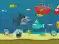 Spel Mal Malhaai aanlyn Spel Mal Malhaai aanlyn