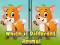 Spel Watter dier is anders aanlyn Spel Watter dier is anders aanlyn