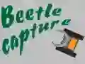 Spel Kewer van Kewer aanlyn Spel Kewer van Kewer aanlyn