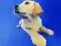 Spel Laglagkatte en honde legpuzzel aanlyn Spel Laglagkatte en honde legpuzzel aanlyn