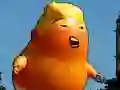 Spel Trump se Vliegende Avontuur aanlyn Spel Trump se Vliegende Avontuur aanlyn