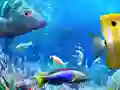 Spel Kom Ons Vang aanlyn Spel Kom Ons Vang aanlyn