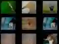 Spel Diergeheue aanlyn Spel Diergeheue aanlyn