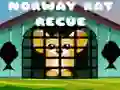 Spel Noorse Rot Rescue aanlyn Spel Noorse Rot Rescue aanlyn