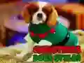 Spel Kersfees Honde Style aanlyn