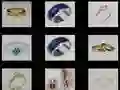 Spel Ringe Geheue aanlyn Spel Ringe Geheue aanlyn