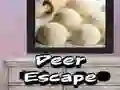 Spel Jakkals ontsnap aanlyn Spel Jakkals ontsnap aanlyn