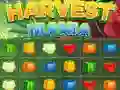Spel Oes Tyd aanlyn Spel Oes Tyd aanlyn