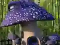 Spel Grappige Sampioen Huise Legkaart aanlyn Spel Grappige Sampioen Huise Legkaart aanlyn