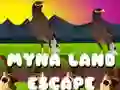Spel Ontsnapping uit Myna-land aanlyn Spel Ontsnapping uit Myna-land aanlyn